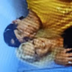 Meet your Posher, Sherry